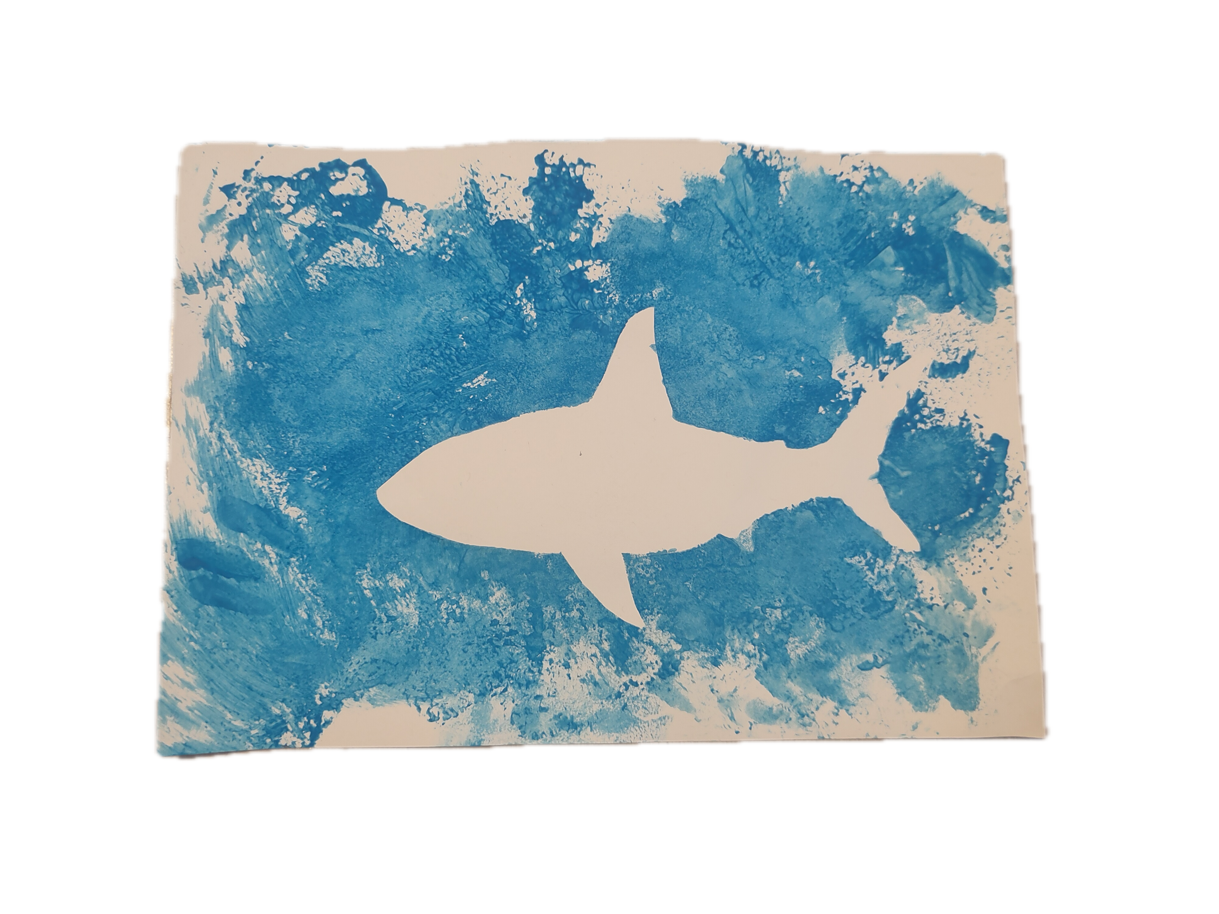 shark