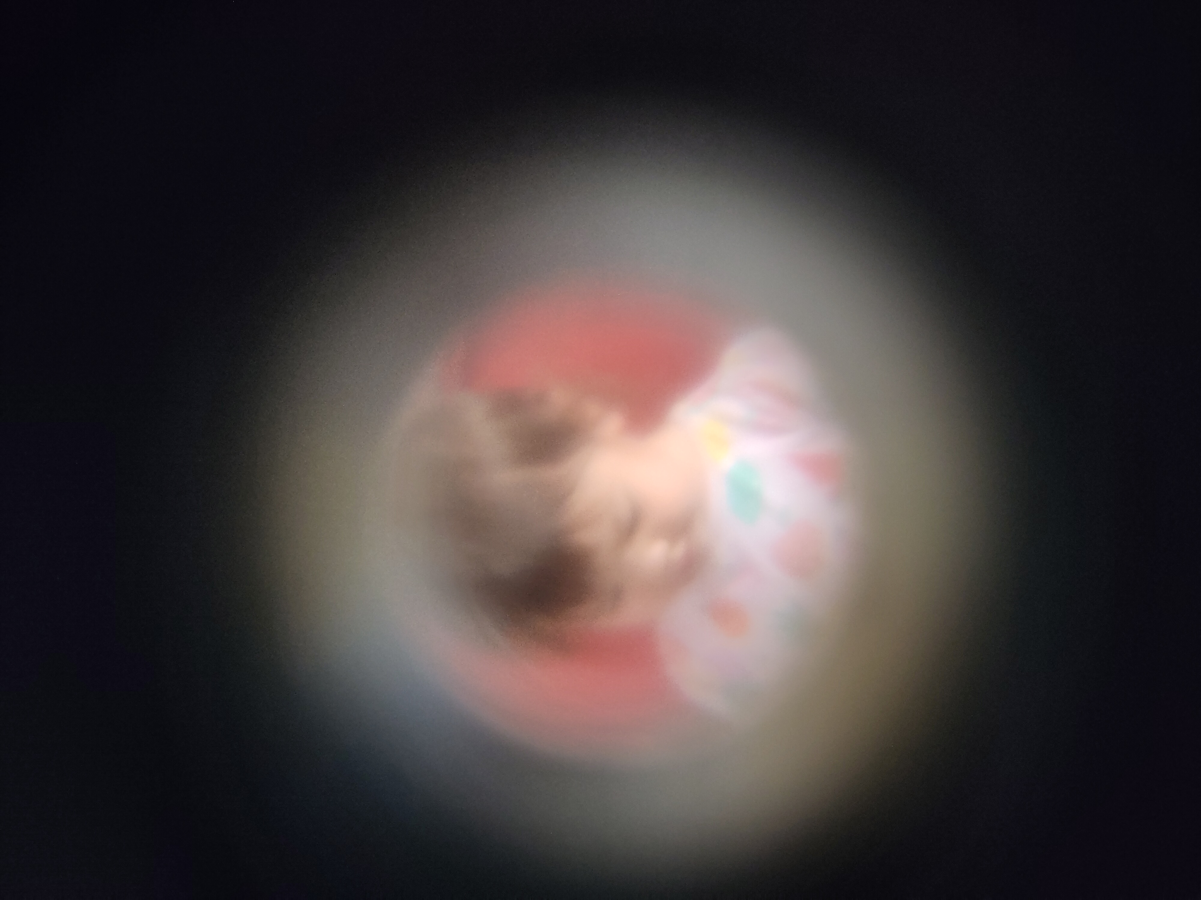 daughter